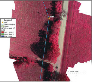 Color infrared image derived from the NDVI camera shows the cooperative's poles and conductors as well as vegetation biomass/density around the coop's structures.